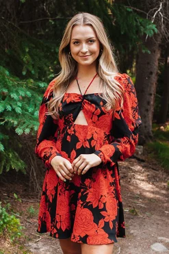 BuddyLove Clothing Label Long Sleeve Dresses | Brunch Dresses*Emi Mini Skater Dress - Dahlia